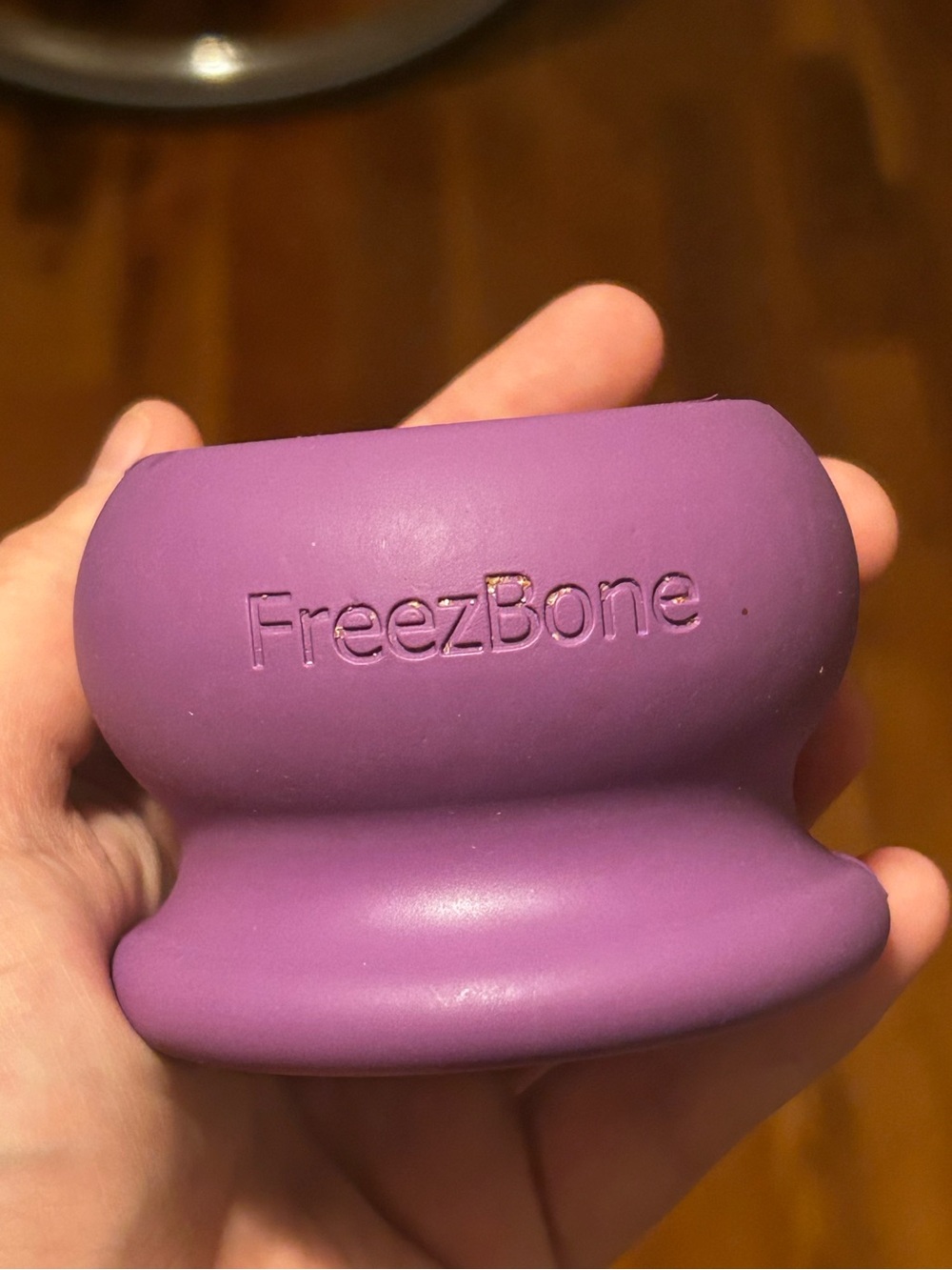 FreezBone Freezball Durable Fillable Dog Chew Bone Medium in Purple